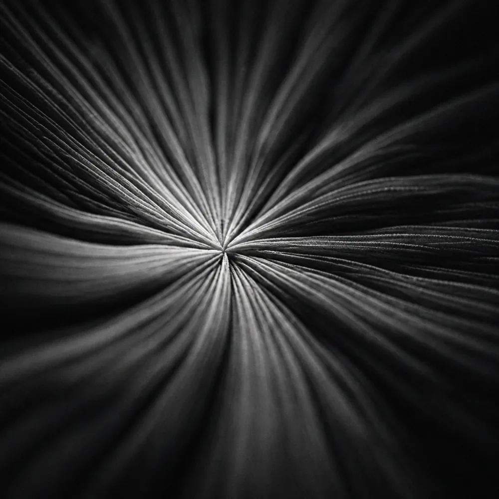 Light radiating from a single point